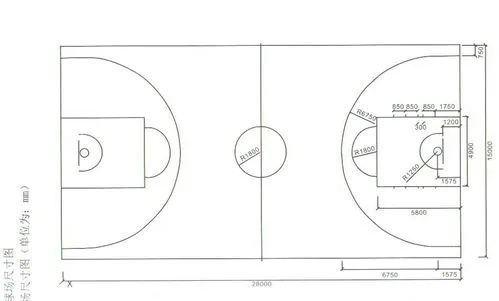 篮球场标准尺寸图介绍你知道吗？篮球场尺寸也能影响恋爱成功率-第3张图片-www.211178.com_果博福布斯