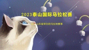 2023泰山马拉松成绩查询方法及注意事项-第3张图片-www.211178.com_果博福布斯